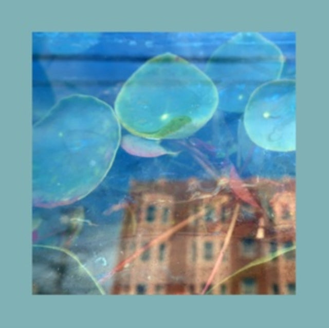 The Reds, Pinks and Purples: Acknowledge Kindness - CD