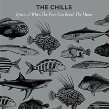 The Chills: Pyramid - Vinyl