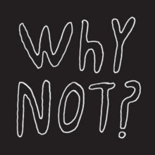 Half Japanese: Why Not? - Vinyl