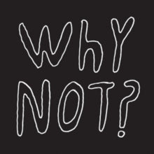Half Japanese: Why Not? - CD
