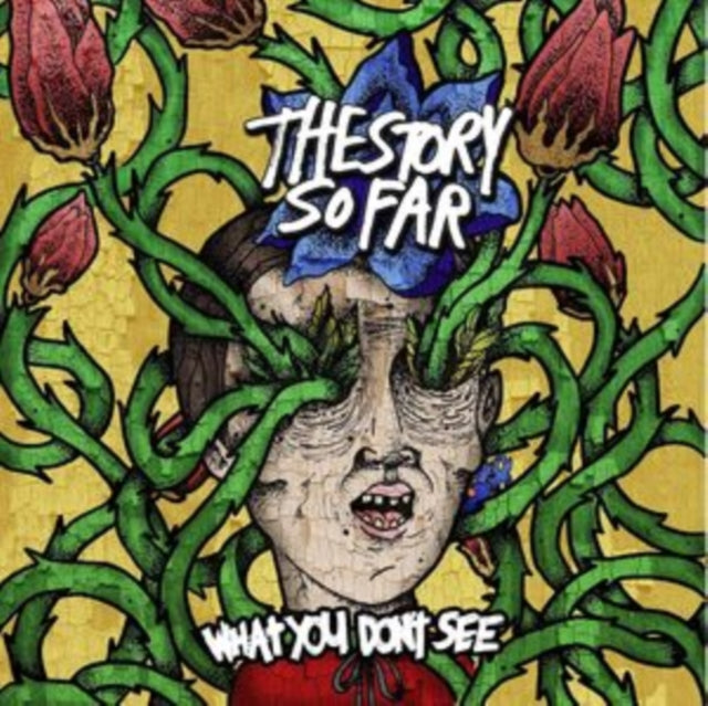 The Story So Far: What You Dont See - Vinyl