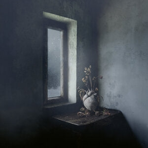 Holissstik: Chapter 1: This Endless Solitude - Vinyl