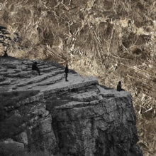 Esben and the Witch: Nowhere - CD