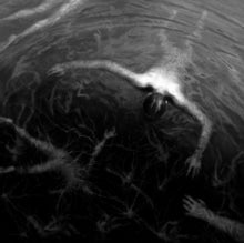 Altarage: The Approaching Roar - CD