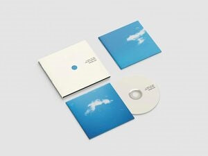 Mystery Jets: A Hole To See The Sky Through - CD
