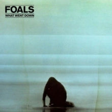 Foals: What Went Down - Vinyl