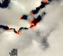 Wildbirds & Peacedrums: The Snake - CD