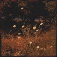 Szun Waves: Earth Patterns - CD