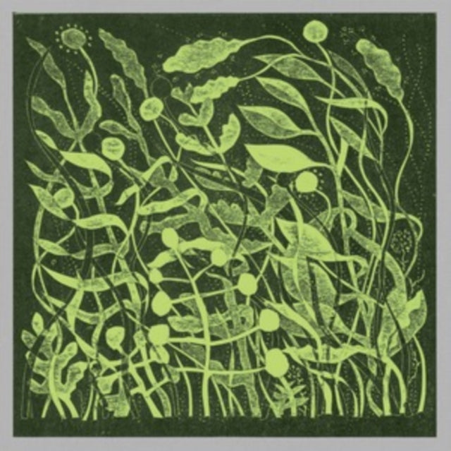 Kirk Barley: Lux - Vinyl