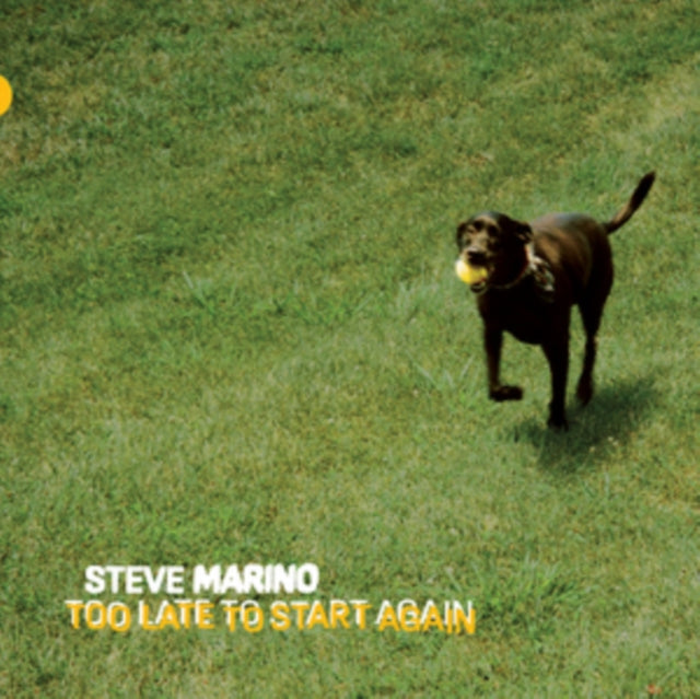 Steve Marino: Too Late To Start Again - Vinyl