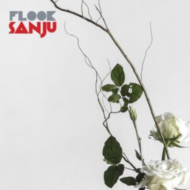 Flook: Sanju - Vinyl
