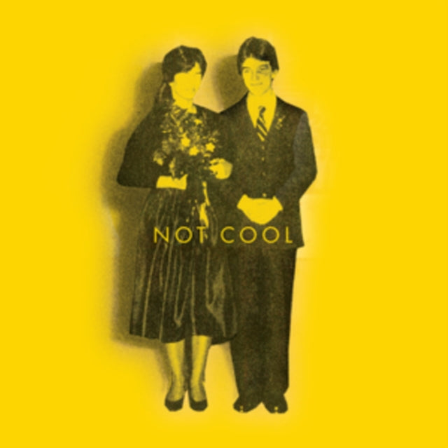 Tim Easton: Not Cool - Vinyl