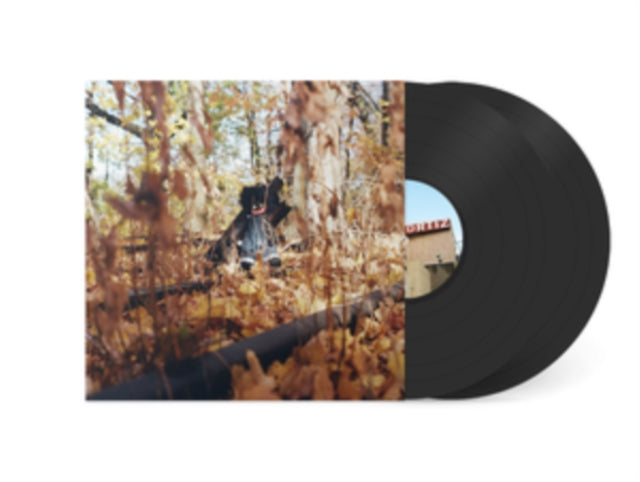 Billy Woods: Golliwog - Vinyl