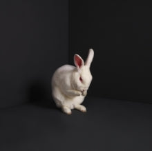 Brume: Rabbits - Vinyl