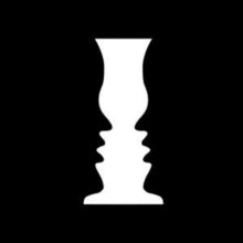 The Sensory Illusions: Sensory Illusions. The - CD