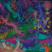 Slow Steve: Adventures - CD