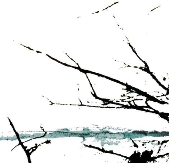 Tenhi: Vare - CD