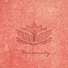 Anaamaly: Urban Metta Vol 2 - CD