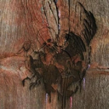 Avey Tare's Slasher Flicks: Enter The Slasher House - Vinyl