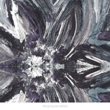 Flying Saucer Attack: Instrumentals 2015 - Vinyl