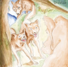 Bonnie Prince Billy: Wolf Of The Cosmos - Vinyl