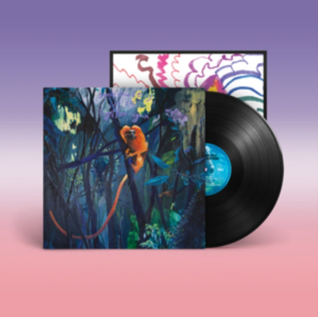 Bonnie Prince Billy: We Are Together Again - Vinyl