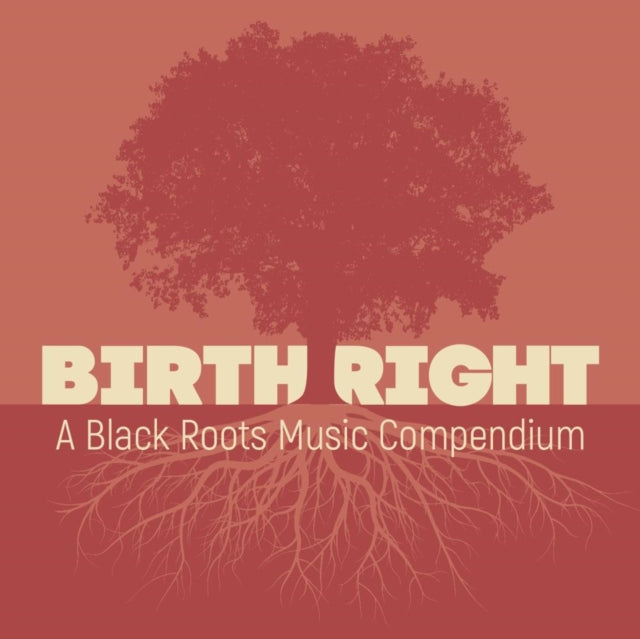 Various Artists: Birthright: A Black Roots Music Compendium - CD