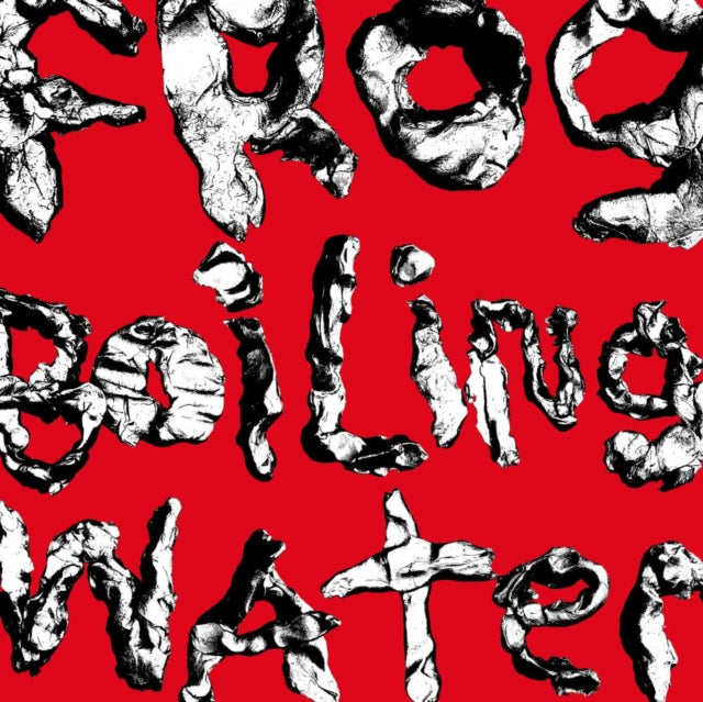 DIIV: Frog In Boiling Water - Vinyl