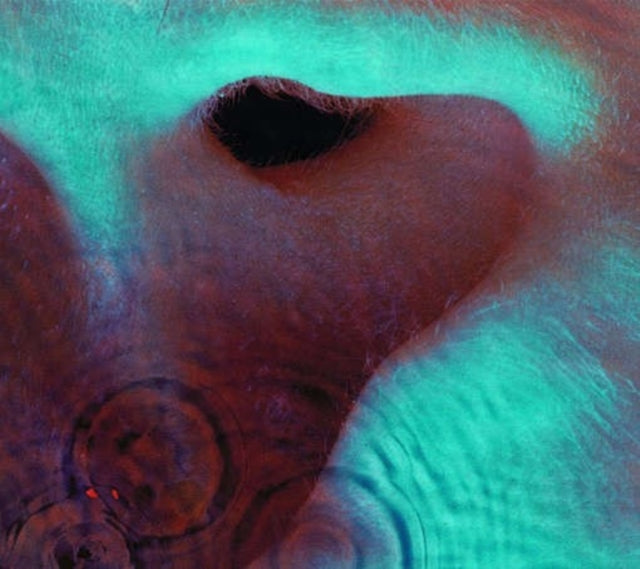 Pink Floyd: Meddle - CD