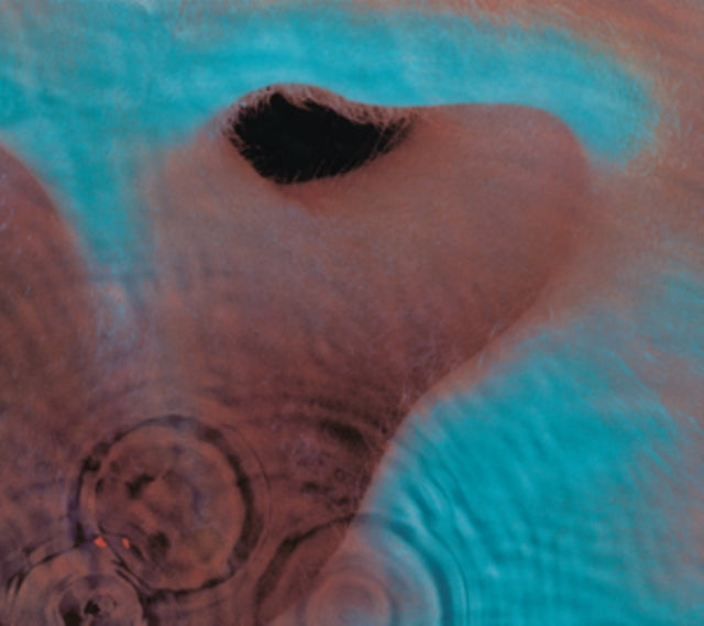 Pink Floyd: Meddle - Vinyl