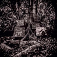Kamasi Washington: Harmony Of Difference - Vinyl