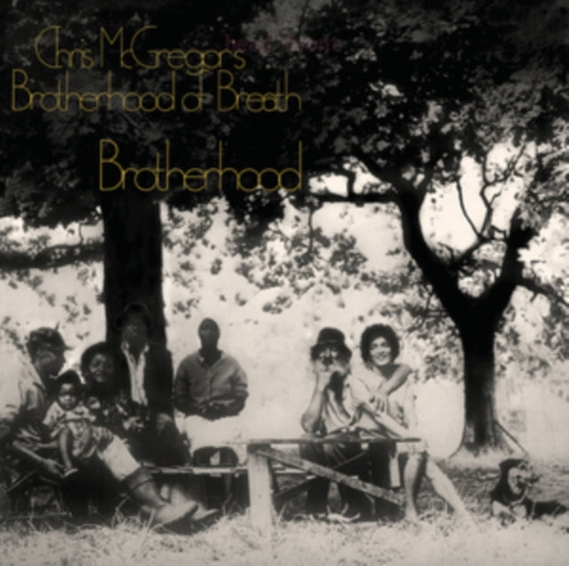 Chris McGregor's Brotherhood of Breath: Brotherhood (Yellow Vinyl) - Vinyl