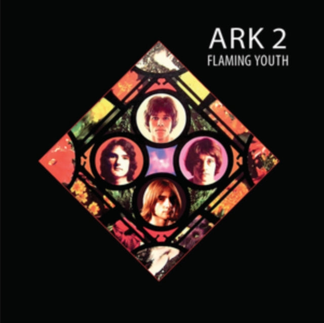 Flaming Youth: Ark 2 - Vinyl