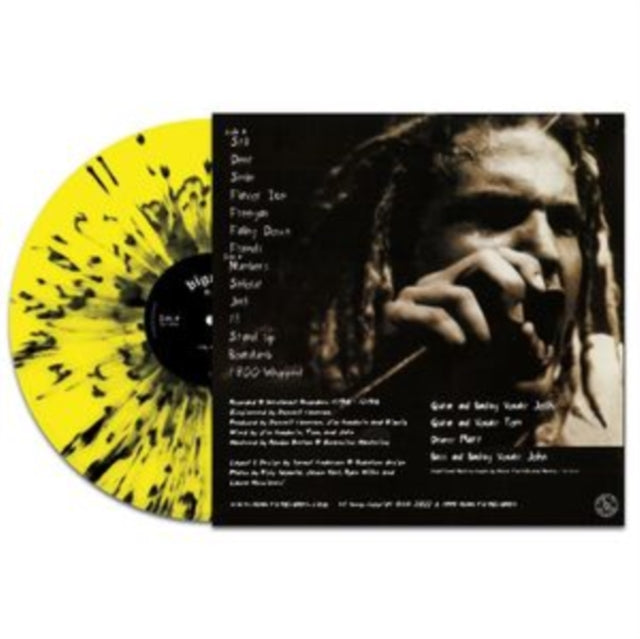 Bigwig: Stay Asleep - Vinyl