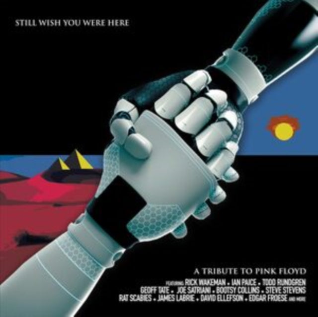 Various Artists: Still Wish You Were Here - A Tribute To Pink Floyd - Vinyl