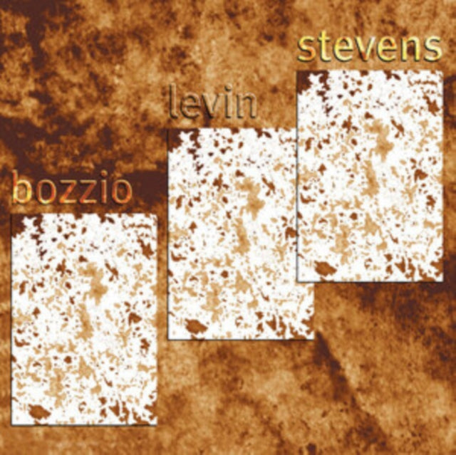 Bozzio Levin Stevens: Situation Dangerous - Vinyl