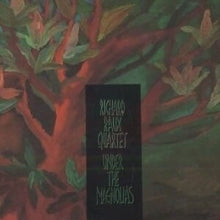 Richard Raux Quartet: Under The Magnolias - CD