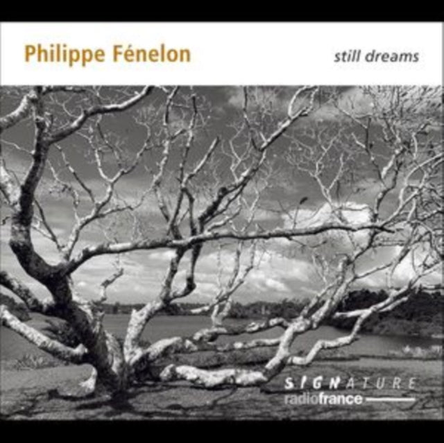 Quatuor Diotima / Florent Jodelet / Didier Benetti / Emmanuel Curt / Gilles Ranticelli / Maryvonne L: Philippe Fenelon: Still Dreams - CD