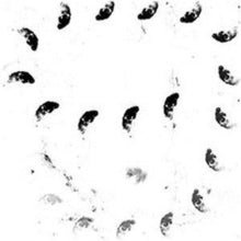 Monolithe Noir: Moira - Vinyl