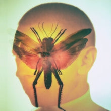 Maelstrom: Rhizome - Vinyl