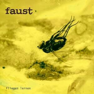 Faust: Fliegen Lernen (Curated By Gunther Wusthoff) - CD