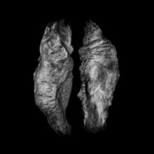 SaffronKeira & Mario Massa: Cause And Effect - CD
