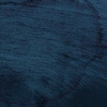 Multicast Dynamics: Aquatic System - Vinyl