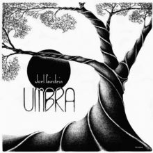 Joel Fairstein: Umbra - Vinyl