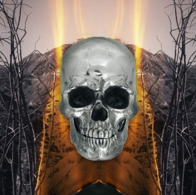 Neverly Boys: Dark Side Of Everything - CD