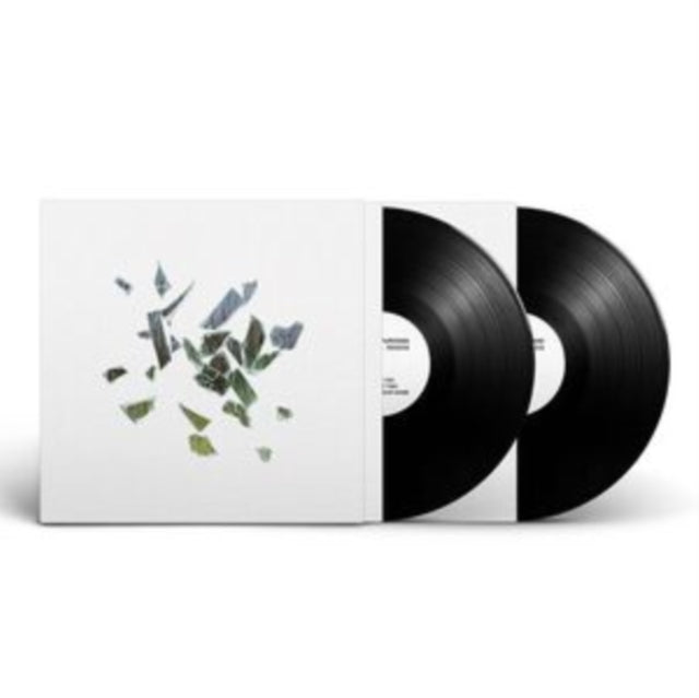 These New Puritans: Field Of Reeds (10th Anniversary Edition) (Etched Vinyl) - Vinyl