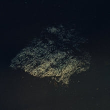 Multicast Dynamics: Lost World - Vinyl