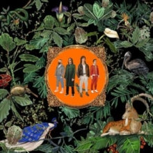 Don Broco: Amazing Things - Vinyl
