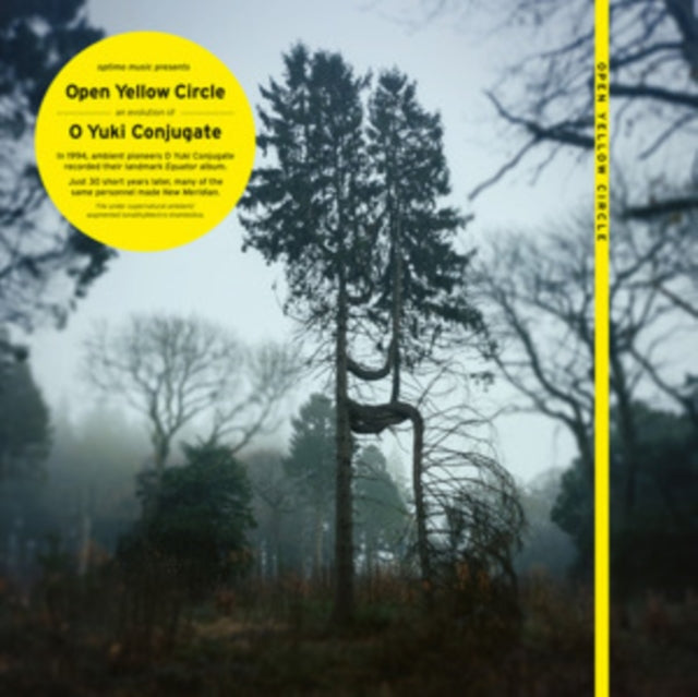 Open Yellow Circle: New Meridien - Vinyl