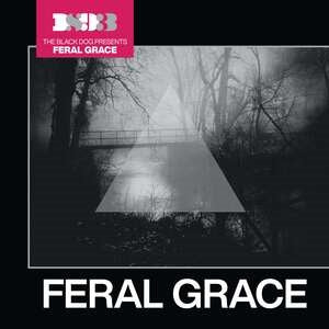 The Black Dog: Feral Grace - CD
